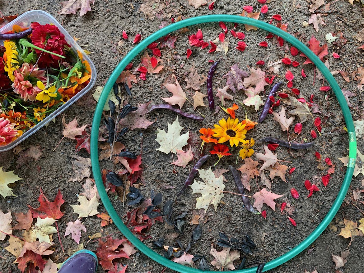 Nature art is on next week w/ #TakeMeOutsideDay! "Place a hula hoop on the ground &amp; encourage the kids to fill it in. [Then] you can remove it &amp; continue working outward like we did with the ring of leaves" A great tip from our community- Thanks Michelle! takemeoutside.ca/tmoday/2023res…