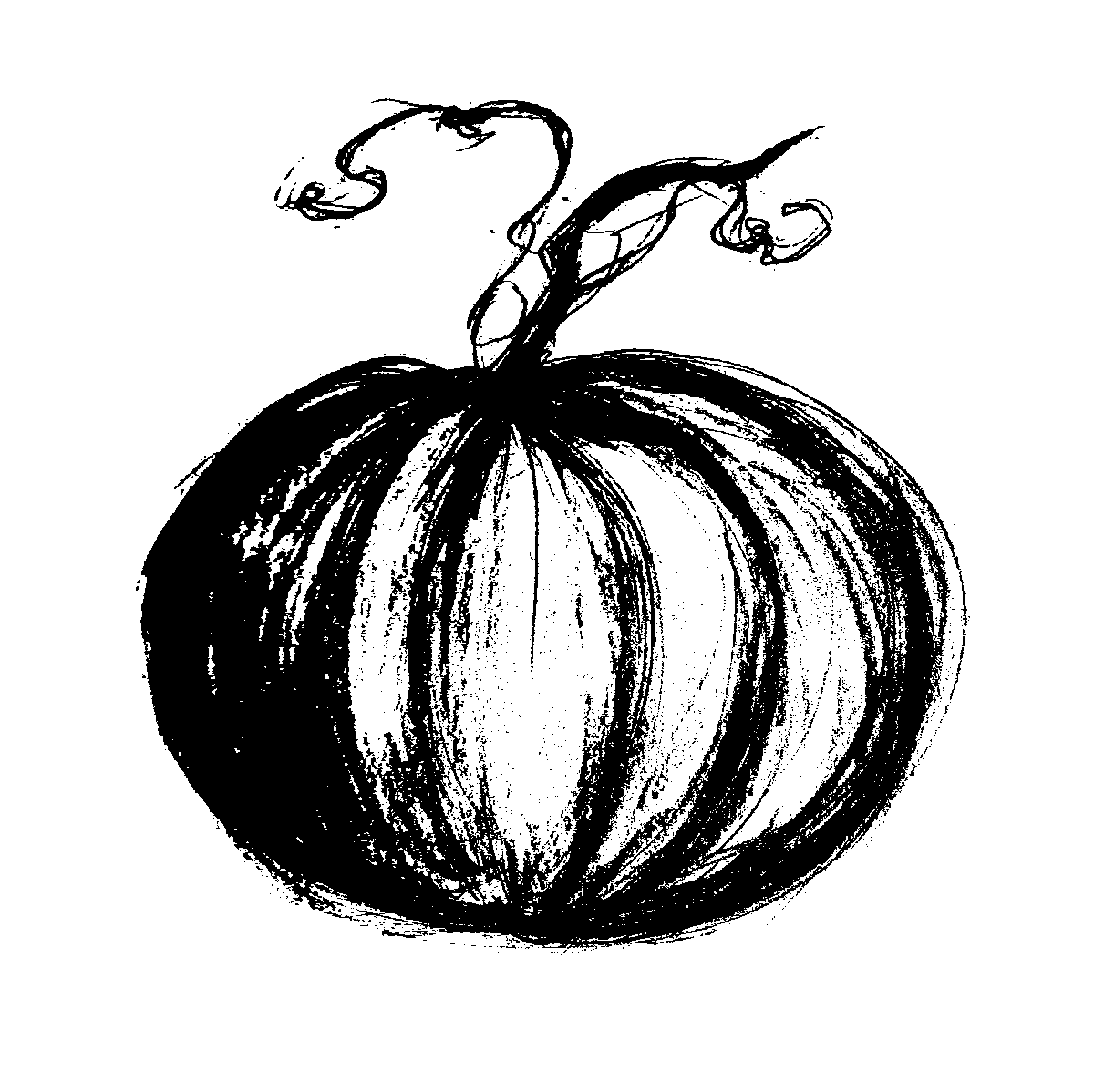 JenniMitkovic's tweet photo. Kürbis, 2023.

#drawing https://t.co/A0fgeG6WqF