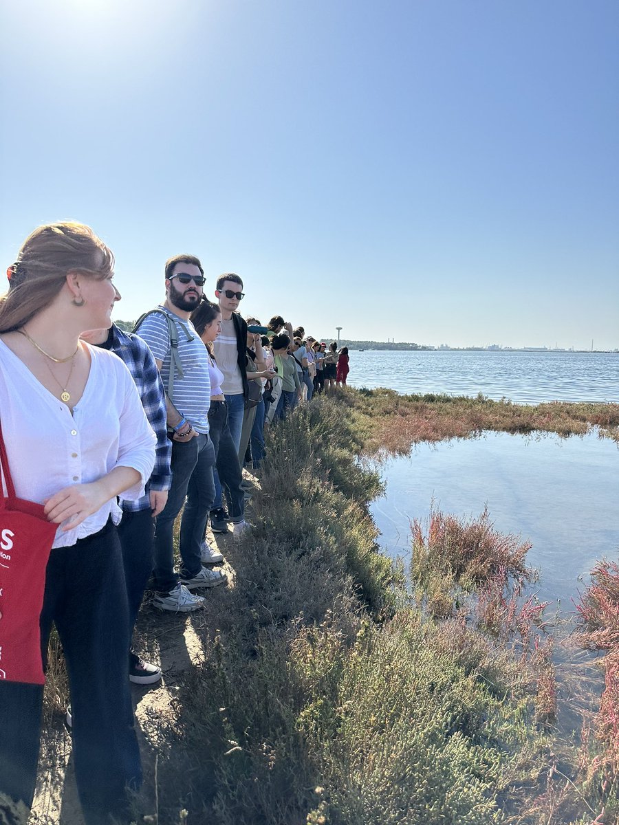 GiuliaGalluccio's tweet photo. From untouched forests, endangered dunes and sunny beaches to the extraordinary mosaics of Ravenna… a travel throughout the centuries with #fers course on Sea Level Rise and Coastal Adaptation 👉https://t.co/eEA2dHAsTe https://t.co/6vKn0WvUh3