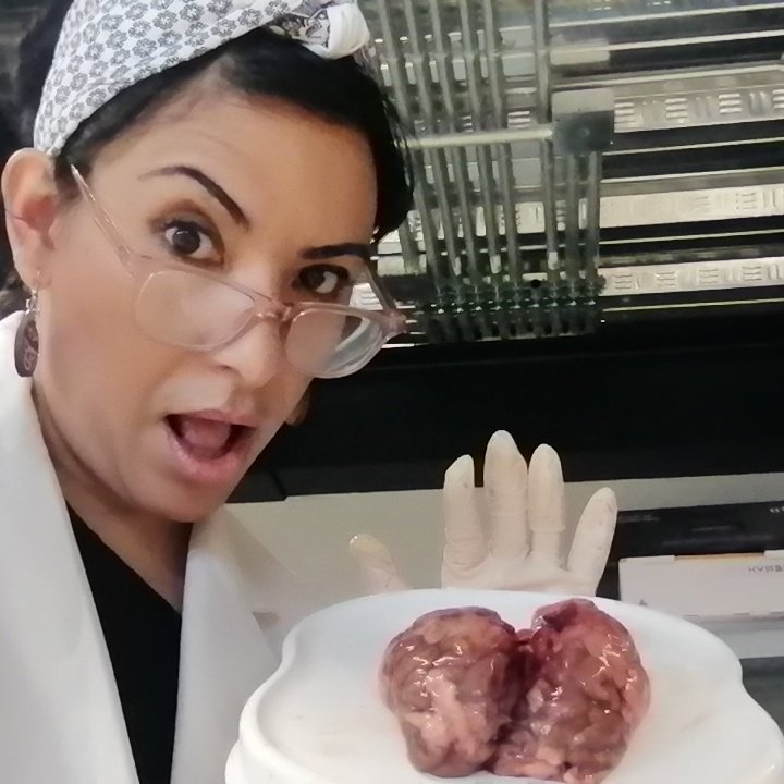 María Alexander tweet media