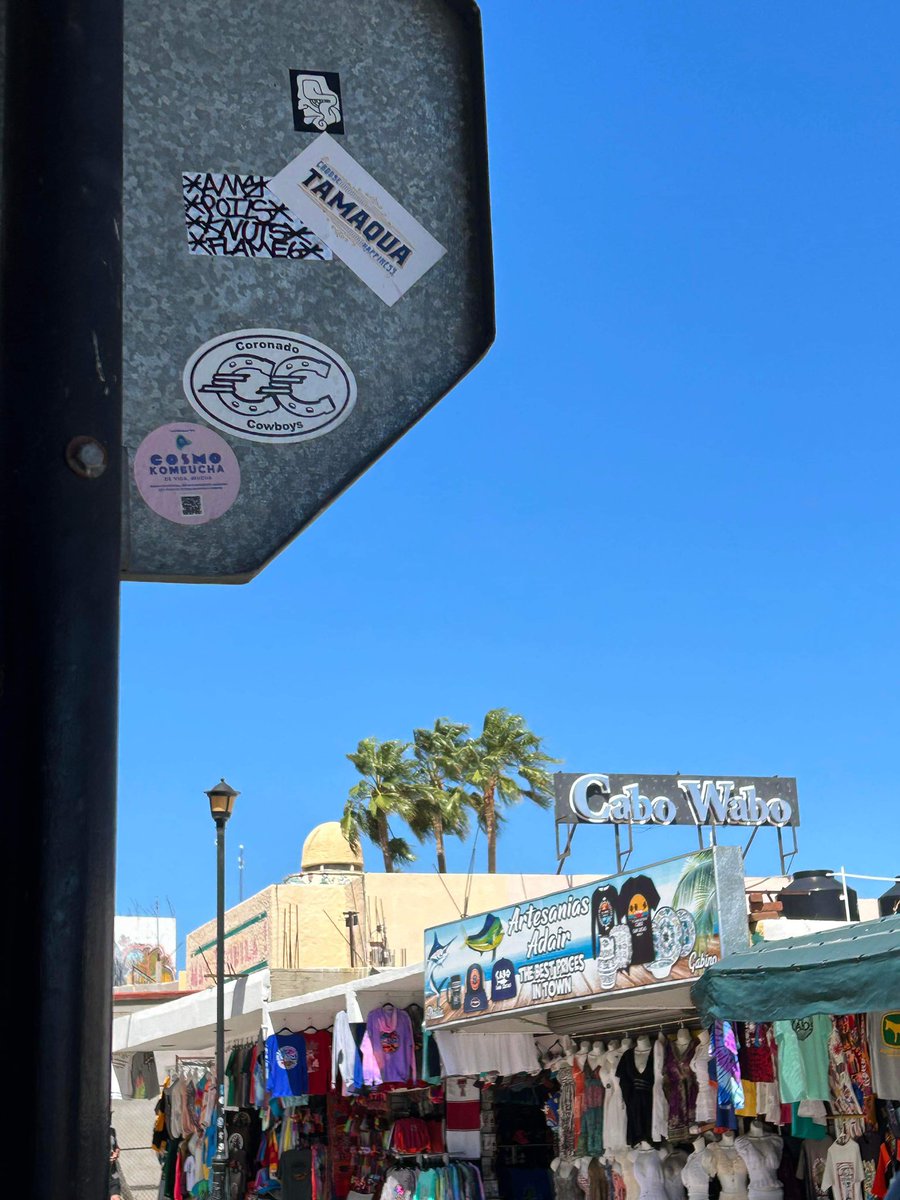 ChooseHappine14's tweet photo. #Cabo  https://t.co/kcD0b6AarX #TamaquaChooseHappiness https://t.co/t248MJ3B0Z