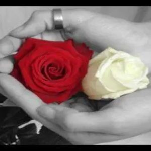 Exploring the Meaning Behind the Ceremony of the Roses on today's podcast! https://t.co/cH1hC5rlhs https://t<a href="/tag/locktober"class="tags"><span>#locktober</span></a>