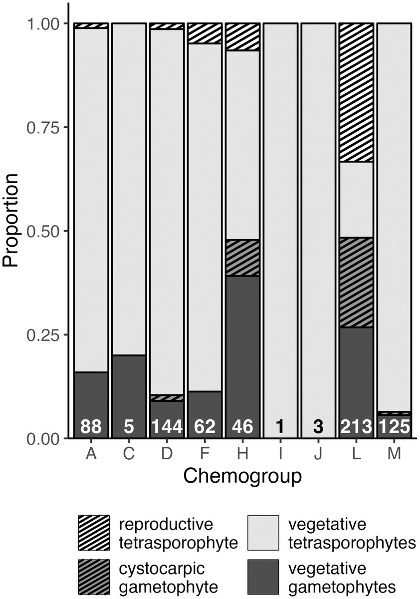 #JPhycol
Vol 59 Issue 4
Heiser et al. (2023)
Tetrasporophytic bias coupled with heterozygote deficiency in Antarctic Plocamium sp. (Florideophyceae, Rhodophyta)
doi.org/10.1111/jpy.13…
<a href="/wileyplantsci/">Wiley Plant Science</a> <a href="/WileyEcolEvol/">Wiley Ecology & Evolution</a> <a href="/PSAAlgae/">Phyc. Soc. America</a>