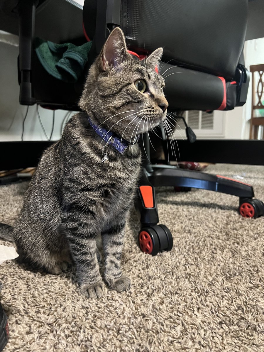 lady. 🖤 tweet media