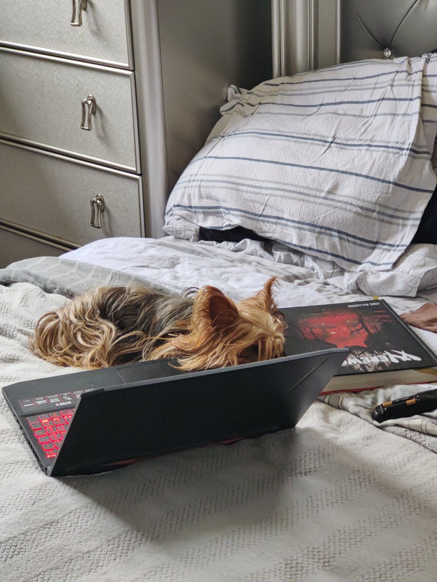 AnomalyRising's tweet photo. Fuckin' hack writer.

#theBotchPit
#werewolftheapocalypse
#horror https://t.co/vqas6qvaY7