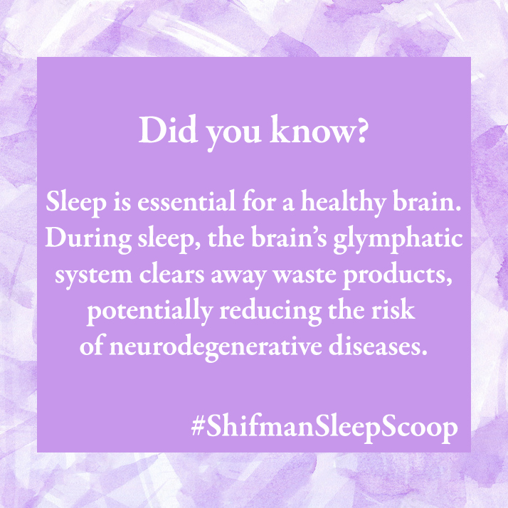ShifmanMattress's tweet photo. #ShifmanDifference #NaturalLuxury
#MattressArtistry #CraftedComfort
#EleganceInEveryThread #EcoLuxury #SleepScoop #DidYouKnow #HighPoint #Market #Showroom #ComeVisit #Sleep #Brainhealth #themoreyouknow https://t.co/fz1IqRs1h4