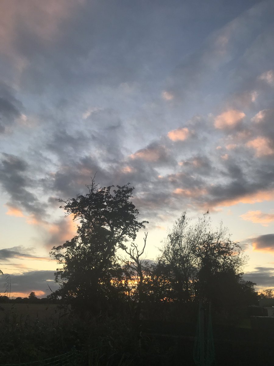 Wishing everyone a peaceful night. Sleep tight…😄