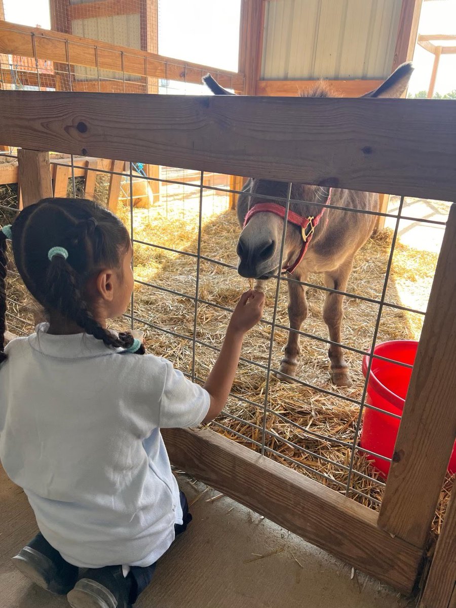 Jane Addams School tweet media