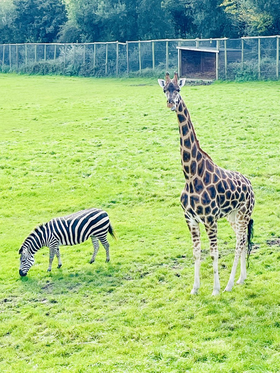 Luke Cope tweet media