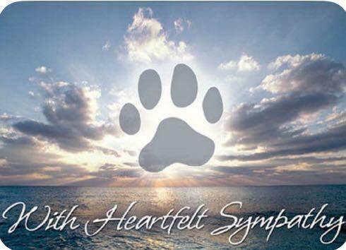 Android2An's tweet image. 🎮🎮🎮🎮🎮 #funnydogs #DOGLOVER #DOGS  
Original: PibbleDogs