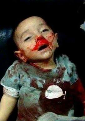 guadams24's tweet photo. @TheAvnerSolal Stop killing palestinian civilians...Stop killing palestinian childrens....Stop zionist terrorism https://t.co/kECWSZ3byA