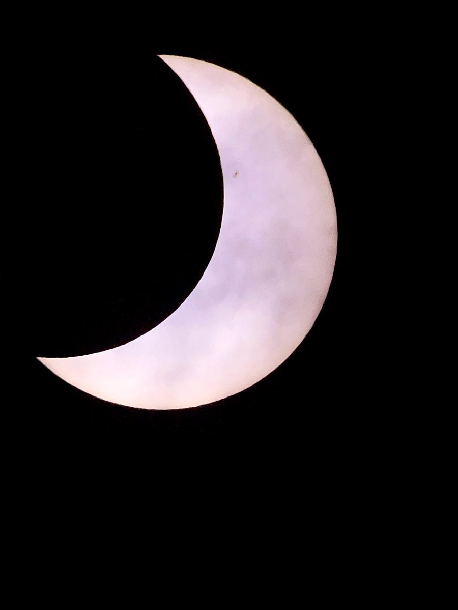 Dr. William Hammond tweet media