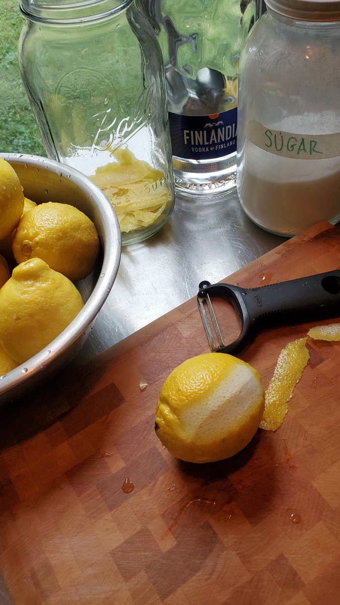 What am I making? (lemons, vodka, sugar, glass jar) #food #cooking #baking #foodquiz