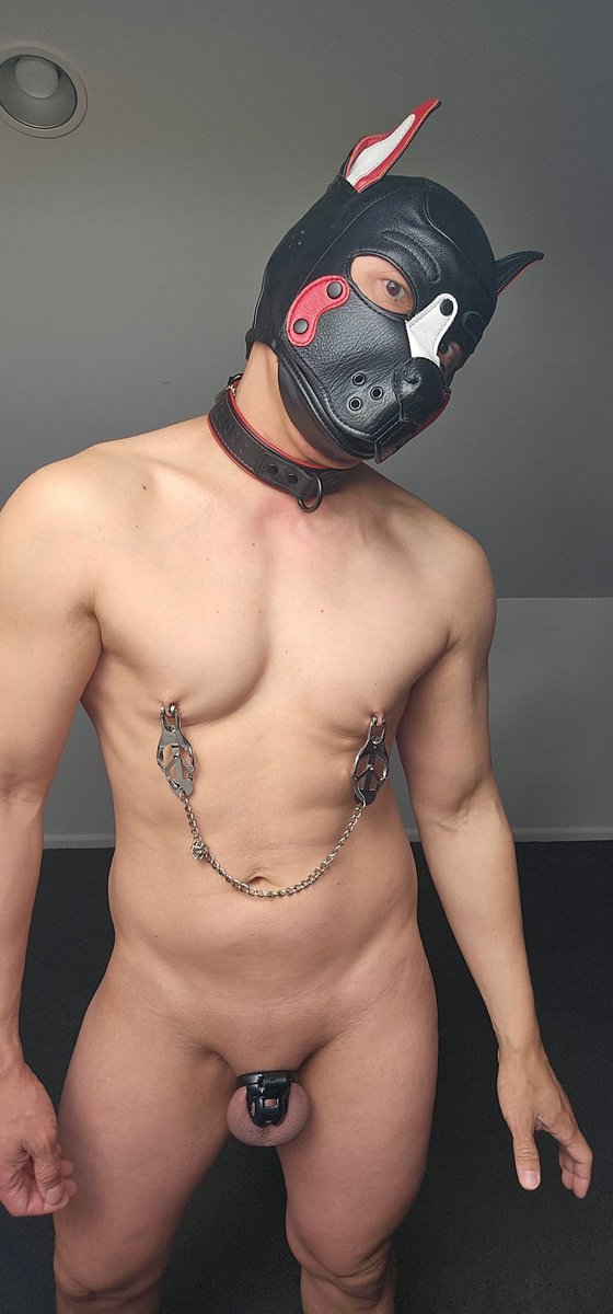 pupboneshd's tweet photo. Nipple clamps are they so at least my tits go pink 😁 https://t.co/ejYOj0UaSS