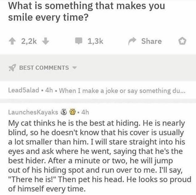 WholesomeMeme's tweet photo. https://t.co/EdbDw8tVfp