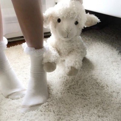 ᶻ 𝘇 𐰁 tweet media