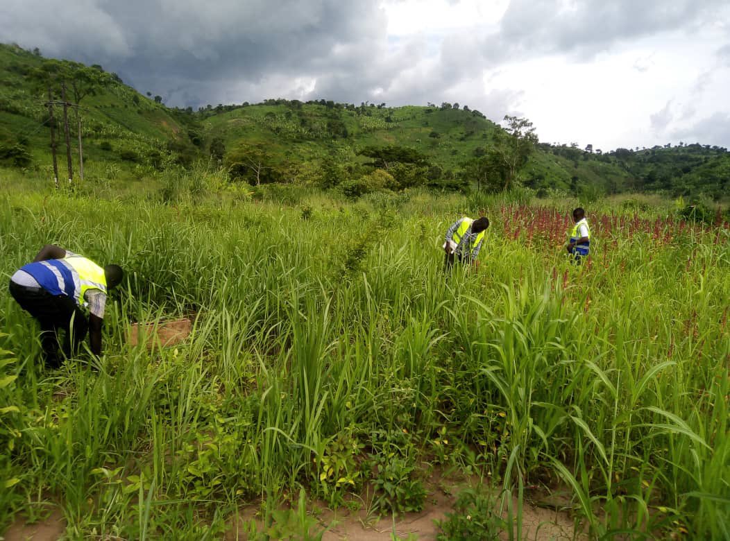AseLengineers's tweet photo. Hydrogeological survey to find a suitable site for a deep borehole drilling along R. Ngusse in Rugashari Kagadi district. https://t.co/MvL0nxWUUq