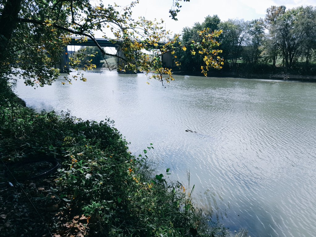 meffridus's tweet photo. No fish. No hobos. Behind schedule. #OCTOBERQUEST https://t.co/zfCiGoPVyx