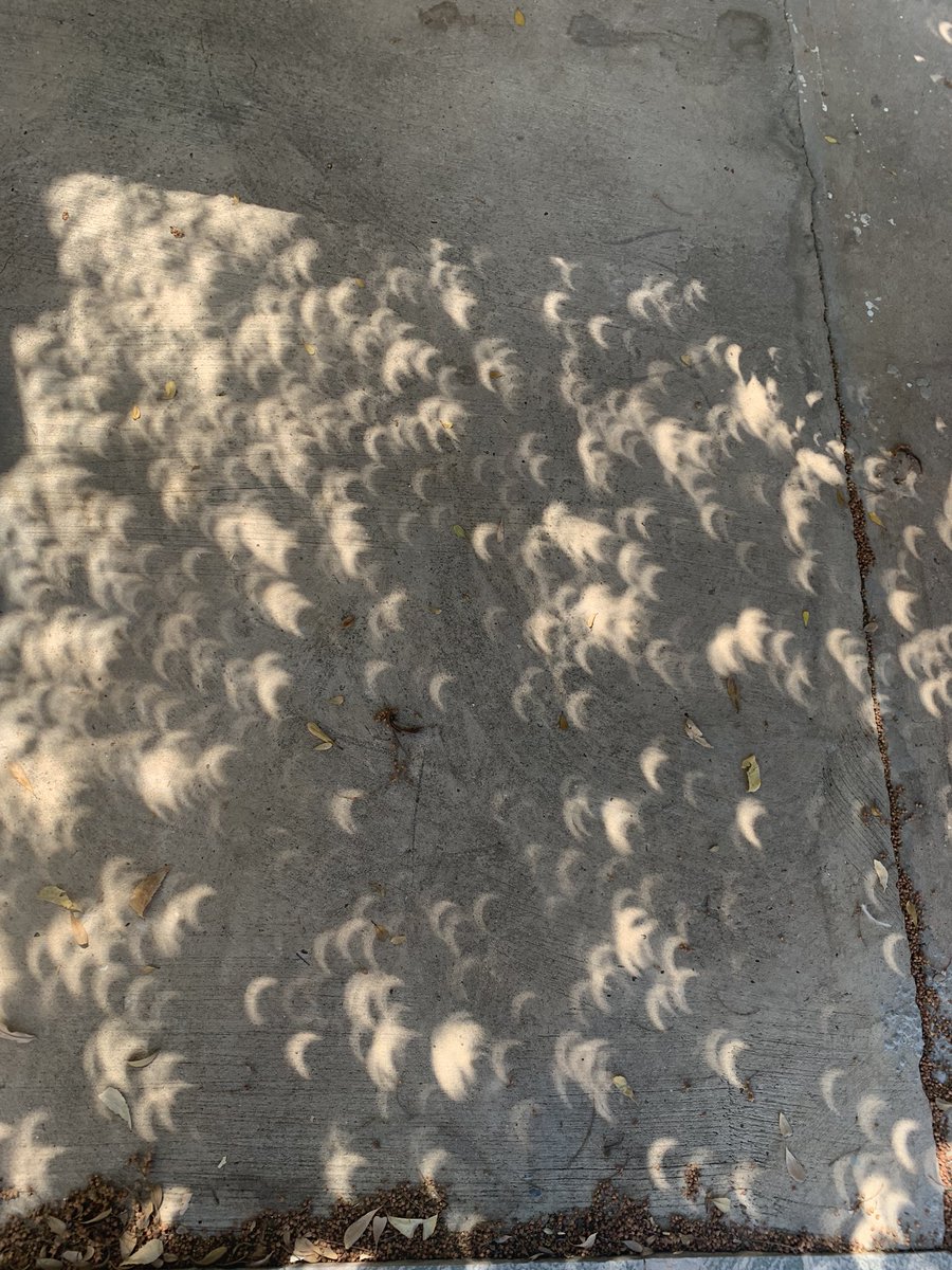 Marialevilo77's tweet photo. Hermosas lunitas durante el #EclipseSolar 🌙❤️ https://t.co/8jyM17C6DN