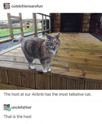 WholesomeMeme's tweet photo. https://t.co/Wzkyfy4JUi