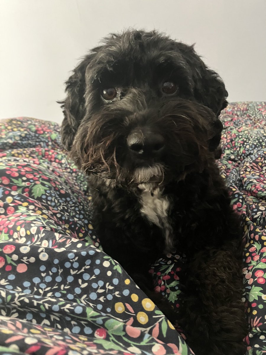 Beth Culshaw tweet media