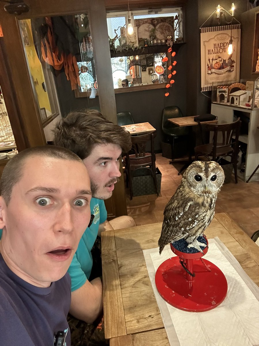 Look WHO I found in Japan!