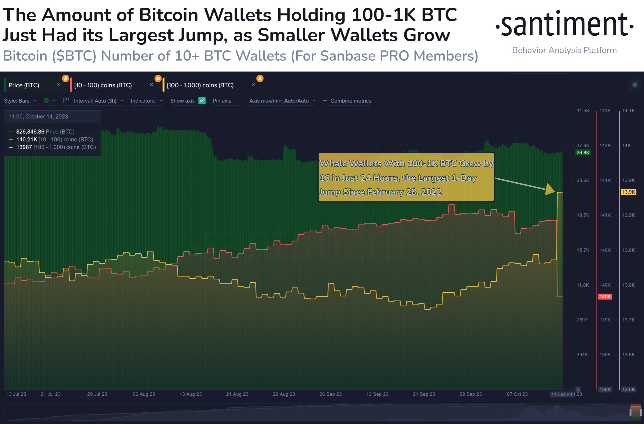 Bitcoin Retests $28,000 As Large Holders Accumulate