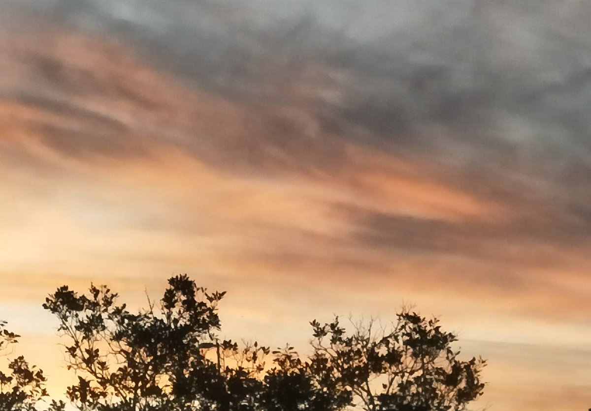 krtcano11's tweet image. Beautiful Sunset. 💞