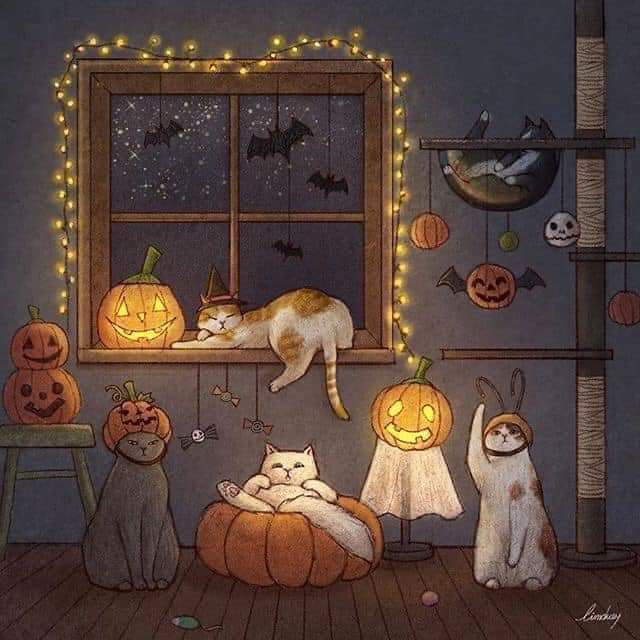 #CatsOfAnarchy #Caturday
#Halloween2023 #cats