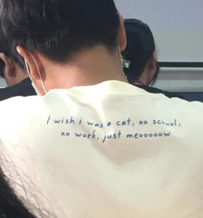 WholesomeMeme's tweet photo. https://t.co/ML4bQs02CN
