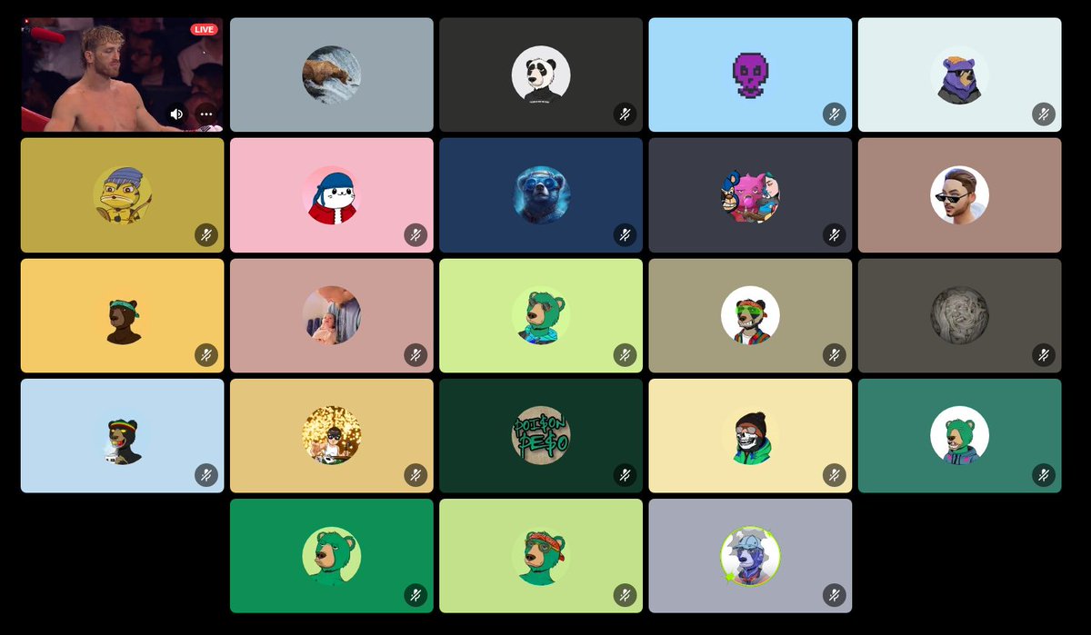 Abearica tweet media