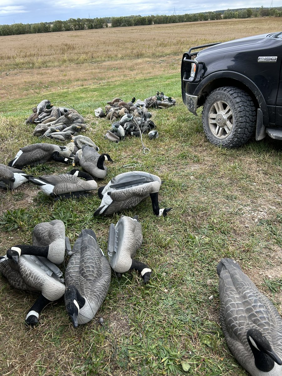 Fordrbr's tweet photo. 3 weeks to go.  #missouriwaterfowl #middlezone. https://t.co/aEGftgpq9m