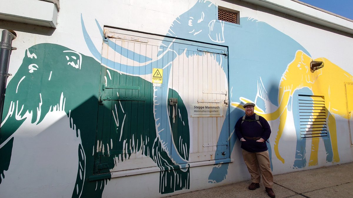It's a bit strange standing next to my own drawings of #mammoths blown-up to full scale (perhaps I should have signed them?)!
They're at #Sheringham, on #Norfolk's #DeepHistoryCoast.🦣