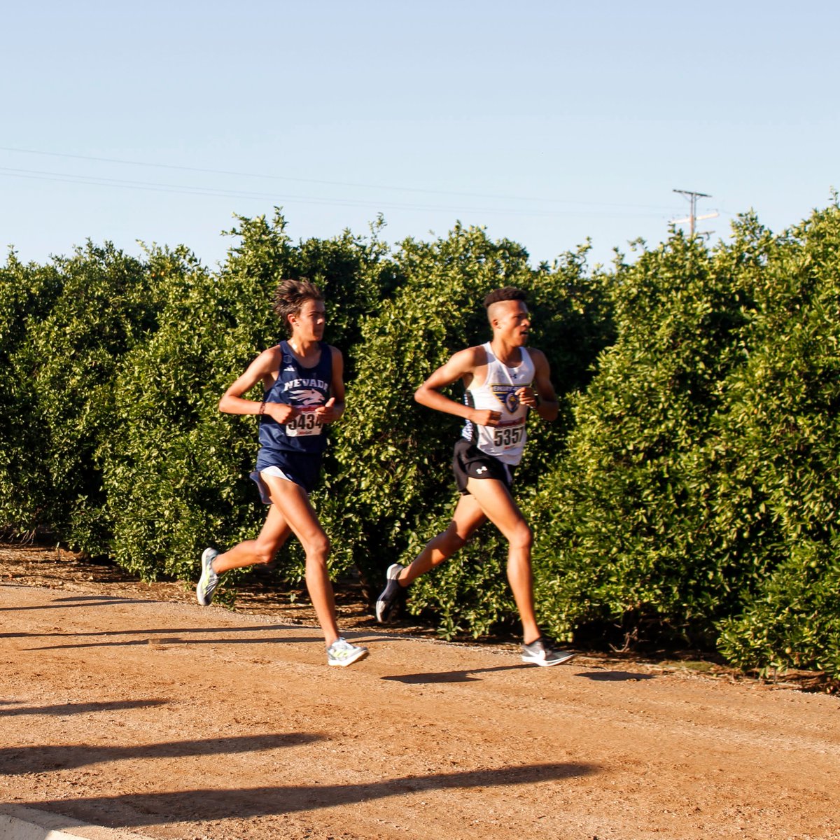WolfPackTrack's tweet photo. WHAT. A. DAY. for our XC men's and women's squads! 

 - Men finished 4⃣th overall while the women finished 1⃣2⃣th overall 
- 13 combined new PR's 😤
- Sayo placed 6th individually while Nelson placed 28th
- Mountain West Champs 🆙 next 

🔗: https://t.co/ysxp7otrdy 

#BattleBorn https://t.co/kvCThS5PYL