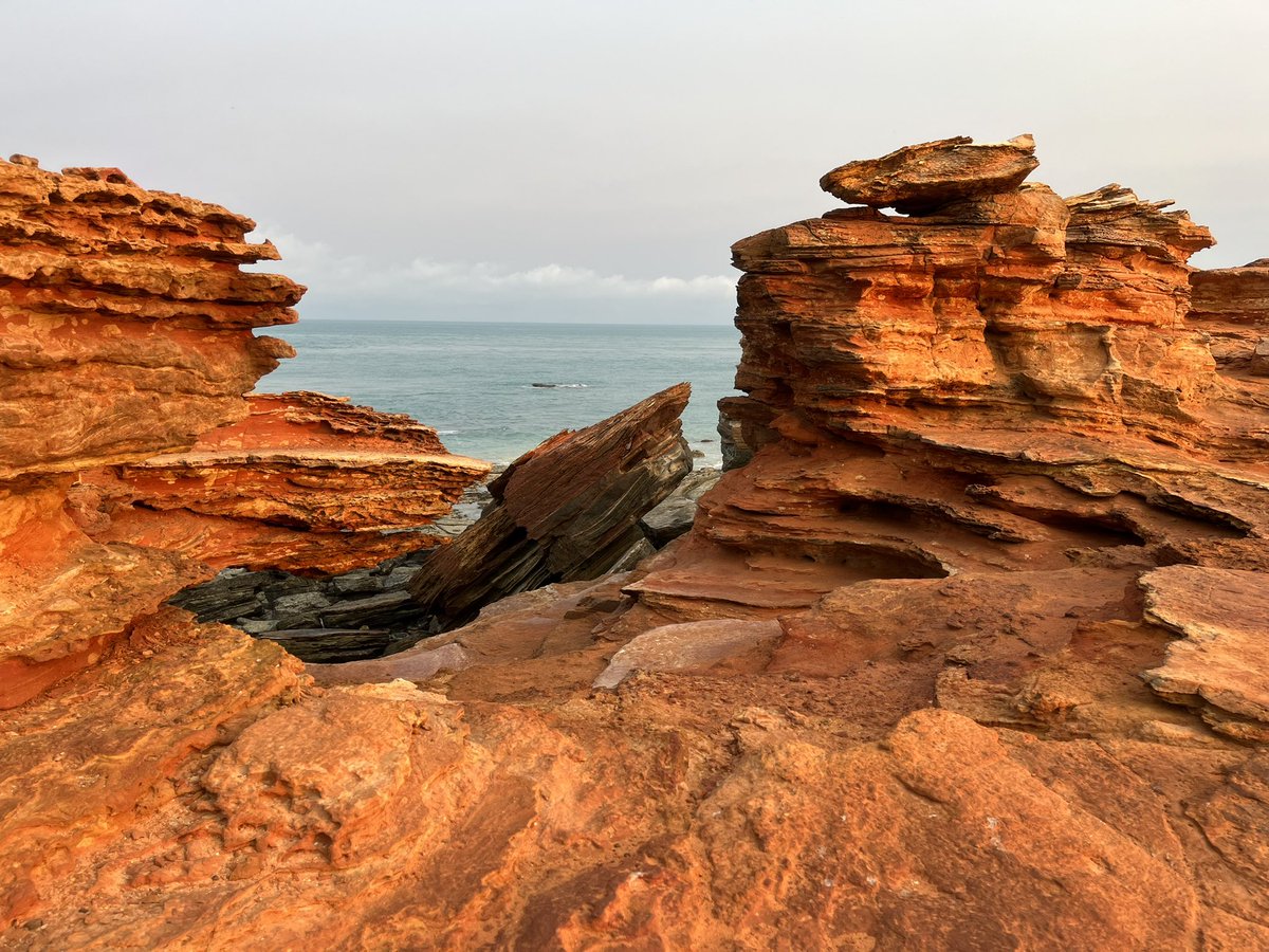 Trent Thorne tweet media