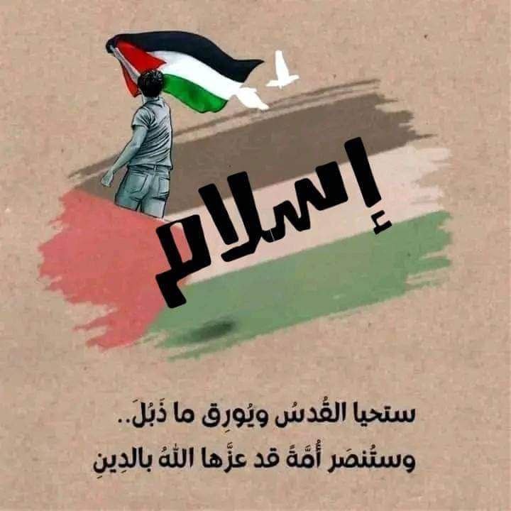 #Gazagenocide
#غزة_الآن