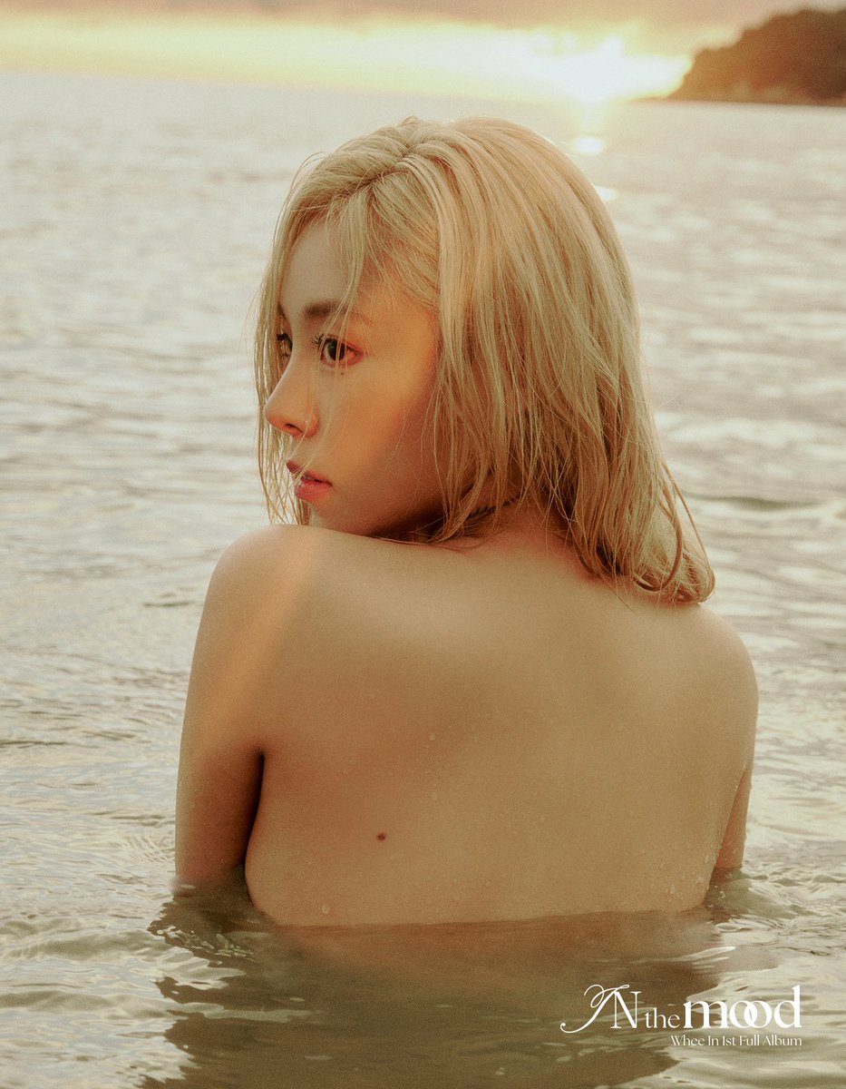 THE WHEEIN PRESS tweet media