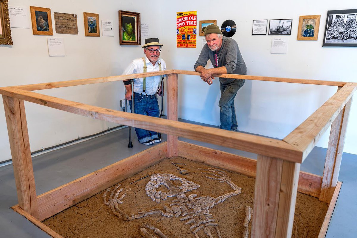 samroloff's tweet photo. Is it Real or is it Art? Dino size toad skeleton found while fixing the floor.

https://t.co/ehrrsdpBCh https://t.co/FKkPvRtrlQ