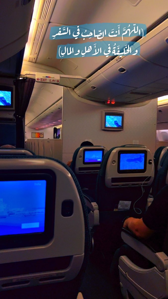 ✈️✨
