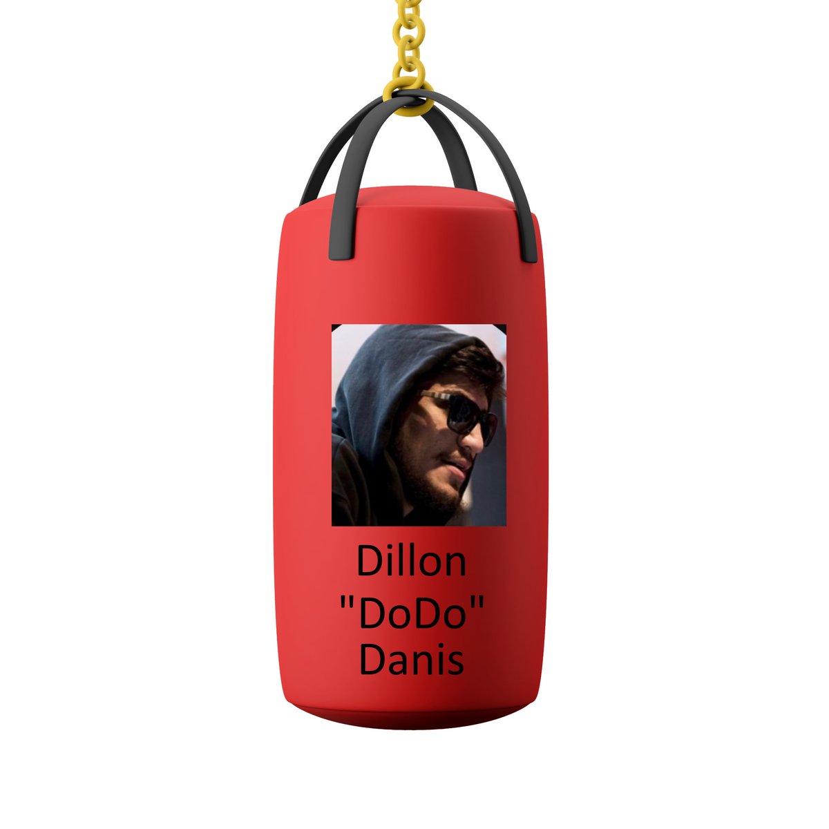 SomebodyLex's tweet photo. @dillondanis New profile picture for you, bro is just a punching bag https://t.co/puMIW4yq76