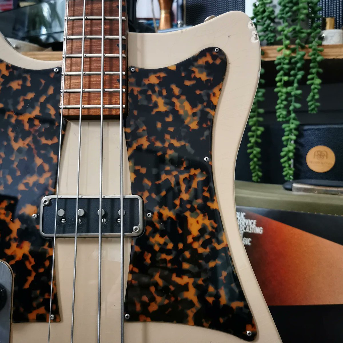Fidelity Guitars tweet media