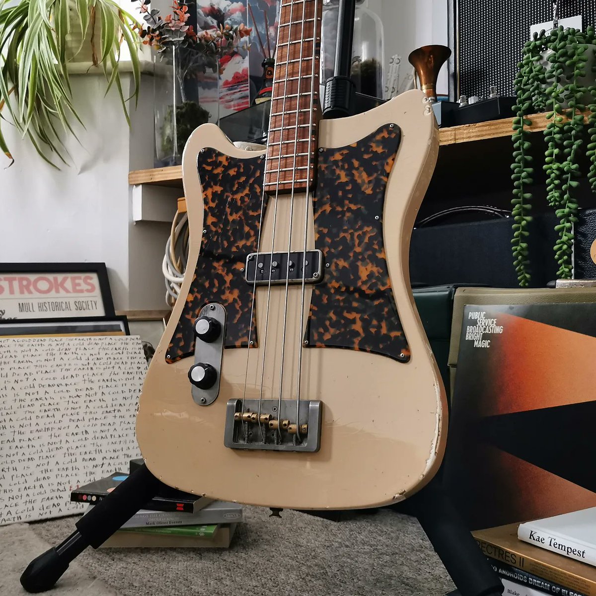 Fidelity Guitars tweet media