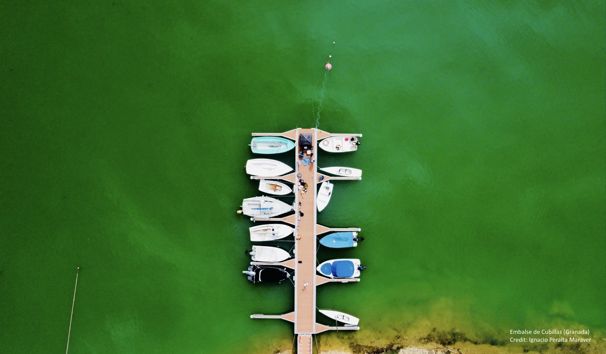 We offer a 4-year position for a PhD student at the University of Granada (Spain) within the project: “Microbial proxies of greenhouse gas emissions in reservoirs during its ontogeny: anticipating the future from the past (ANTICIPA).” More details in the thread. Please RT (or RX)