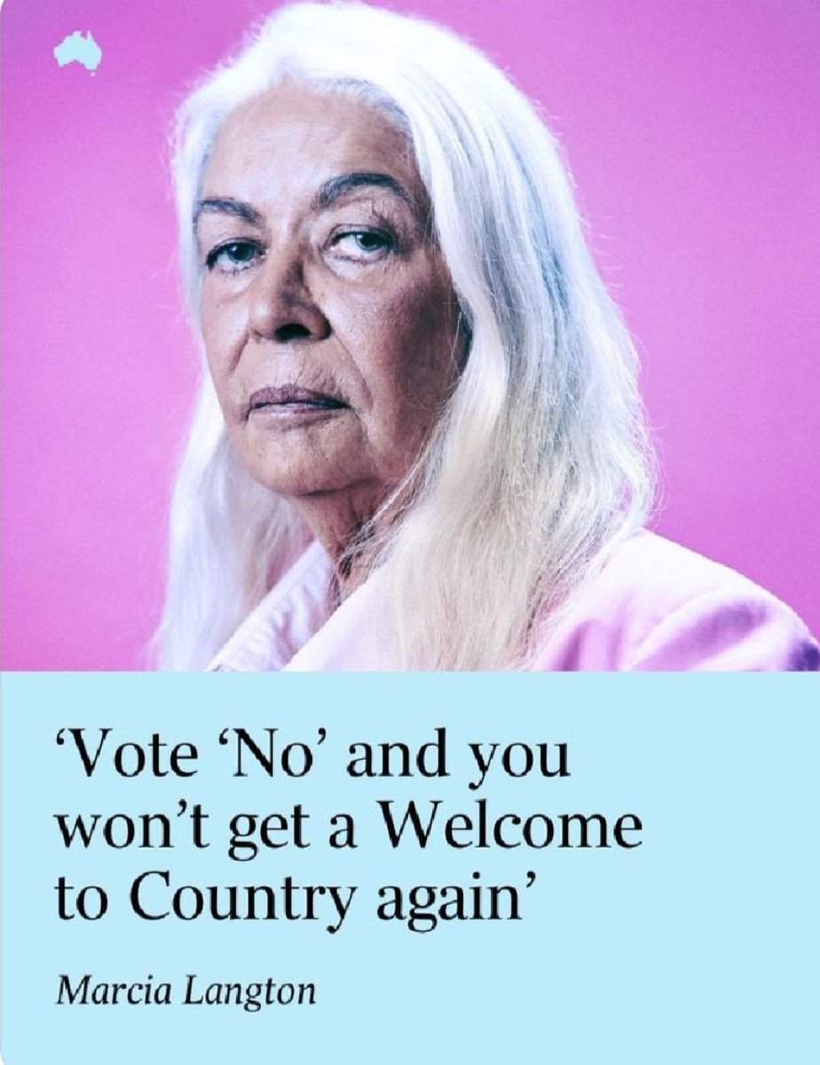 Rita Panahi tweet media