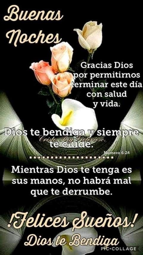 SocorroPachecoC's tweet photo. https://t.co/i93iYjN7zd