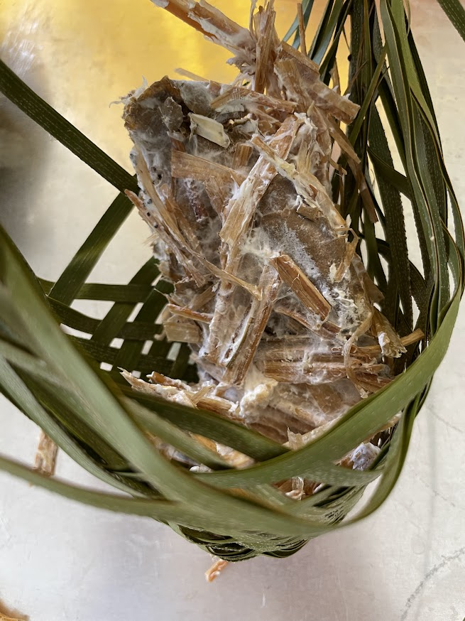 CorinneTakara's tweet photo. Our https://t.co/Y5W3sQDQud project received a 7 day extension!  Please share out &amp; consider supporting a Maui soil fire toxin bioremediation program empowering local teens to co-design curriculum rooted in local knowledge &amp; using Hawai'i grown materials. https://t.co/0HnpJoEUgd https://t.co/g72Lqrl66N