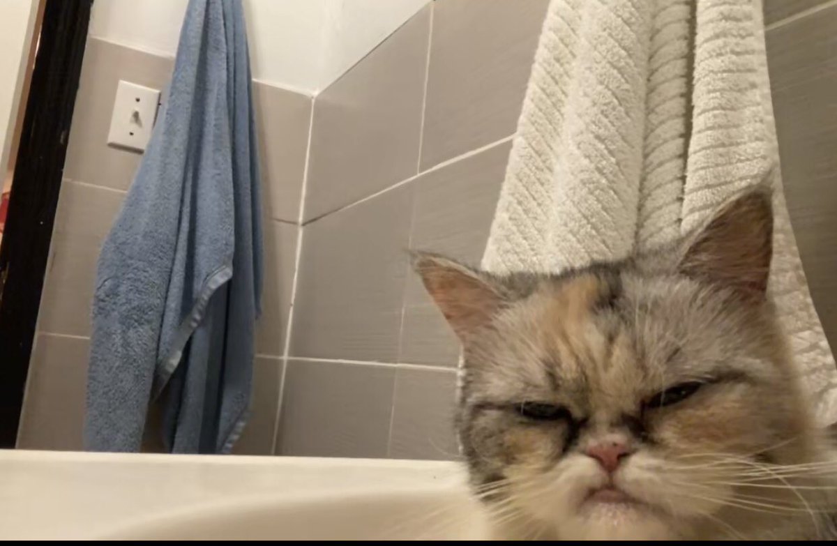 it's late 🏳️🌈 tweet media