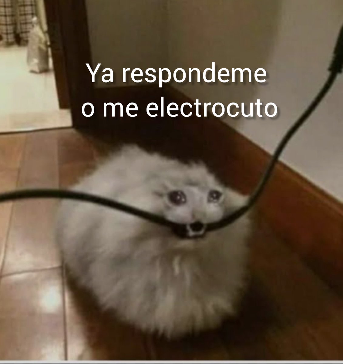 Danys_Crepy's tweet photo. @christophervele Tu sabrás.. 😭😭 Si me sigues ignorando..
Sacaré mi modo dramática cncowners
#4ever
#4ever
#4ever
#4ever
#4ever
#4ever
#4ever https://t.co/LuuNrzRSgp