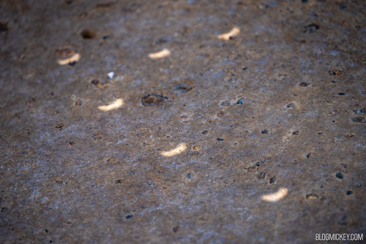 The Partial Eclipse was spotted in #Epcot at #WaltDisneyWorld earlier today…photos and permission by Blog Mickey.  #SolarEclipse2023 #disneyparks #itsamazingoutthere