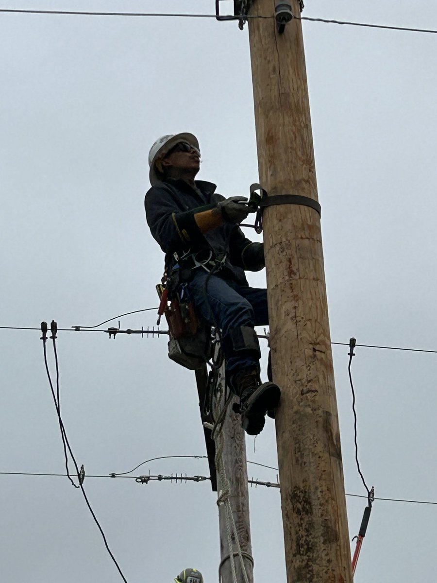 Jesse Murray tweet media